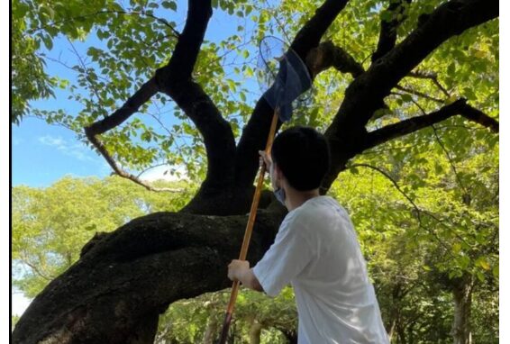 快晴の空の下、浜松城公園の林の中を駆け回って食材（セミ）探し →からの調理実習！！