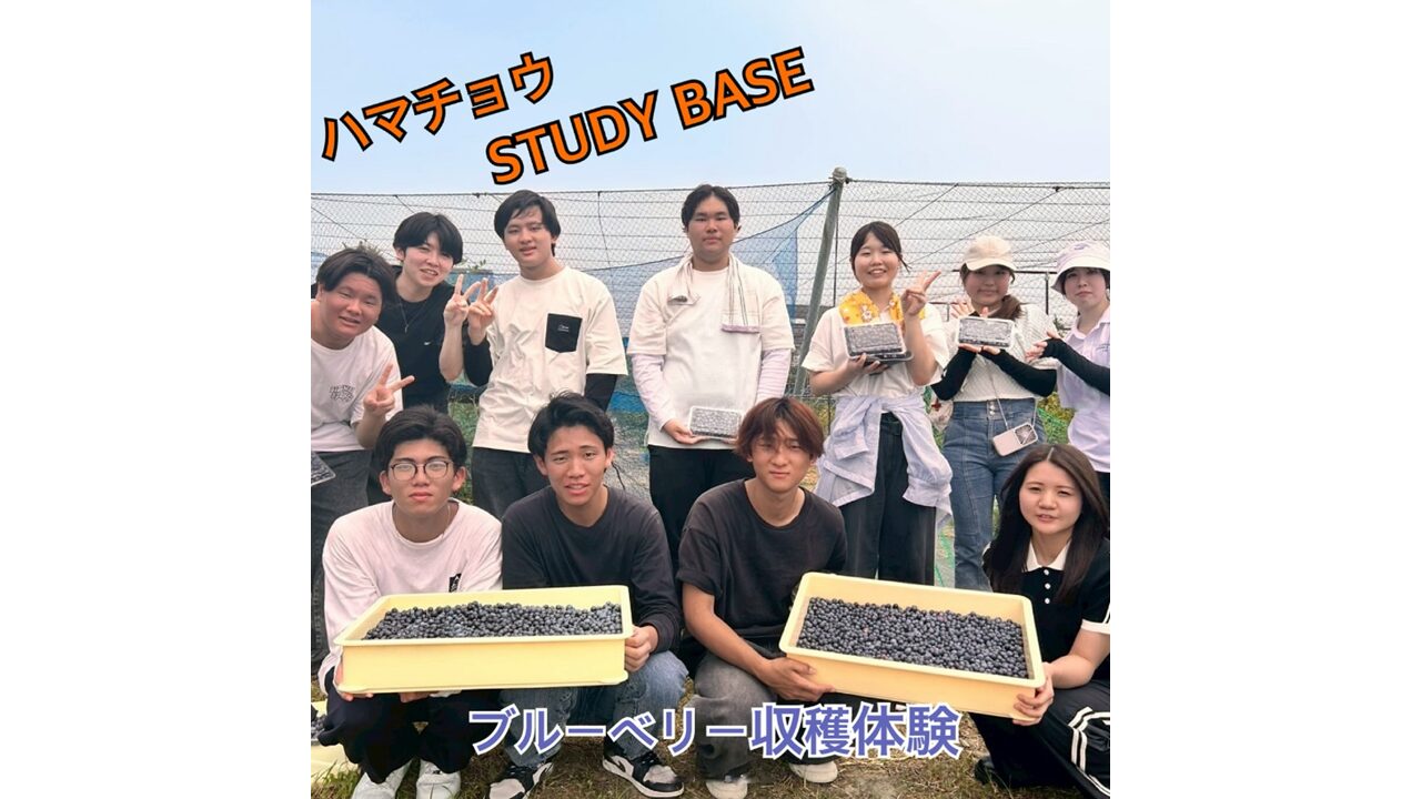 ハマチョウ STUDY BASE ブルーベリー収穫体験